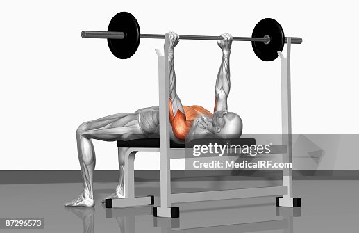 Bench press (Part 1 of 2) Bench press (Part 1 of 2)