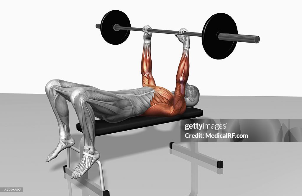 Overhead barbell triceps extension (Part 1 of 2)