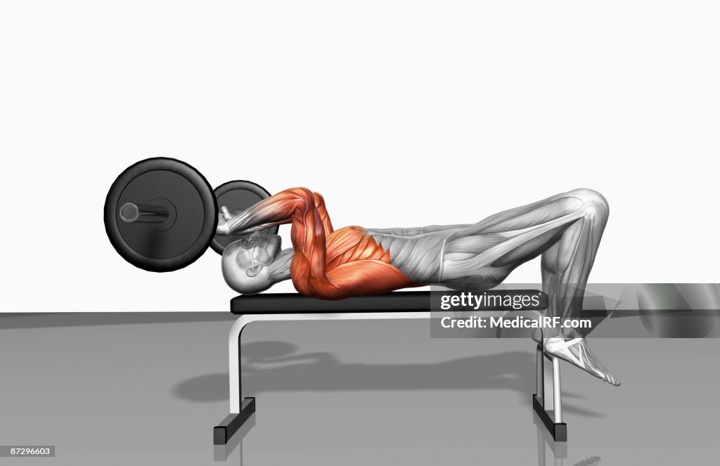 Overhead barbell triceps extension (Part 2 of 2)