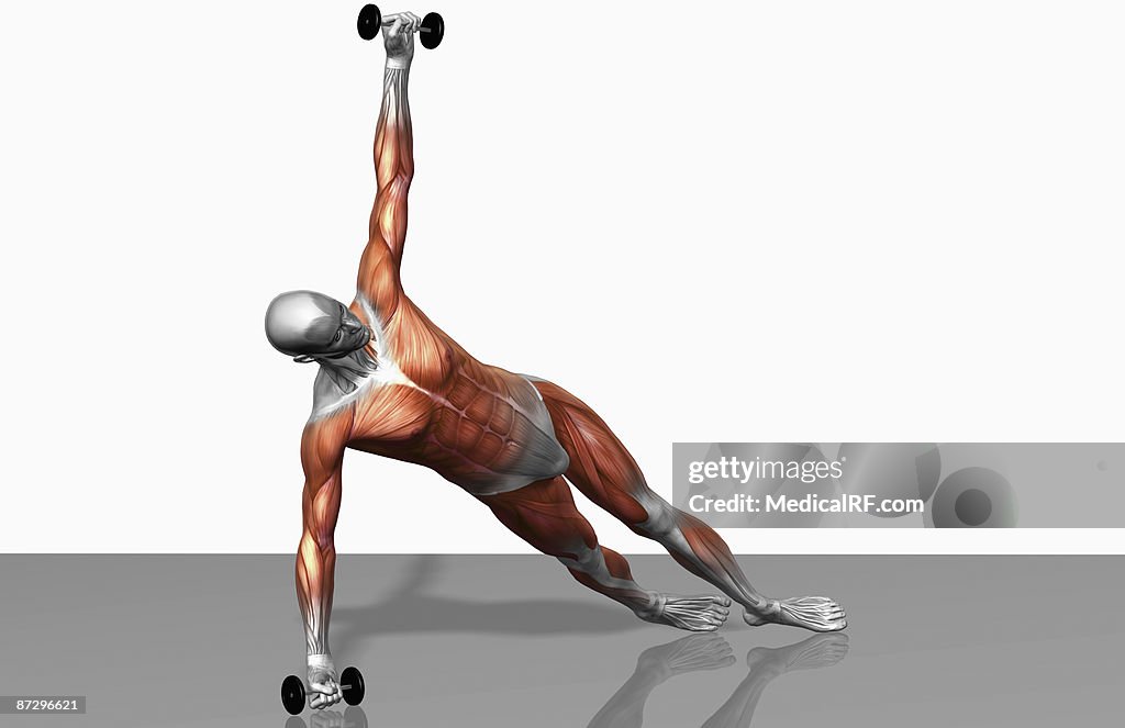 Setanta Push up