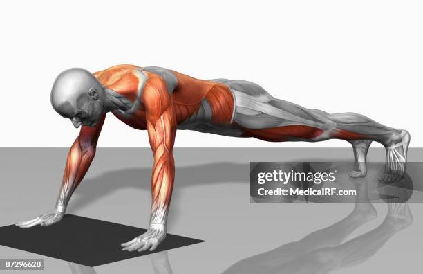 towel fly exercise (part 1 of 2) - latissimus dorsi stock illustrations
