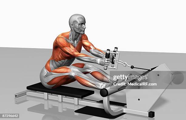 stockillustraties, clipart, cartoons en iconen met cable row exercise (part 2 of 2) - brede zijspier
