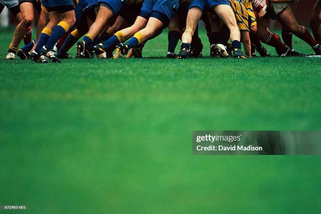 Rugby Union, players in scrum, focus on legs