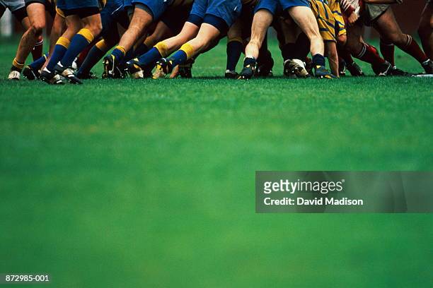 rugby union, players in scrum, focus on legs - scrum stock-fotos und bilder