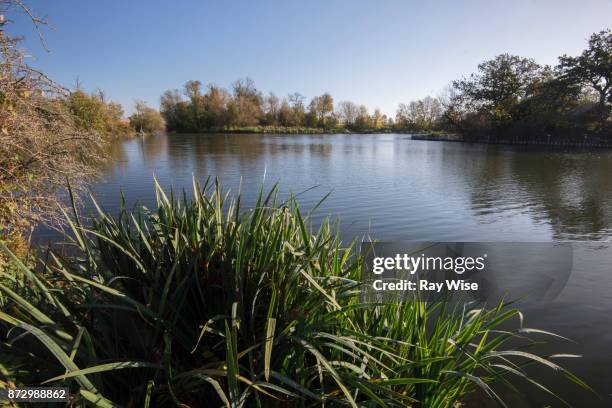 walthamstow wetlands nature reserve - watershed 2017 bildbanksfoton och bilder