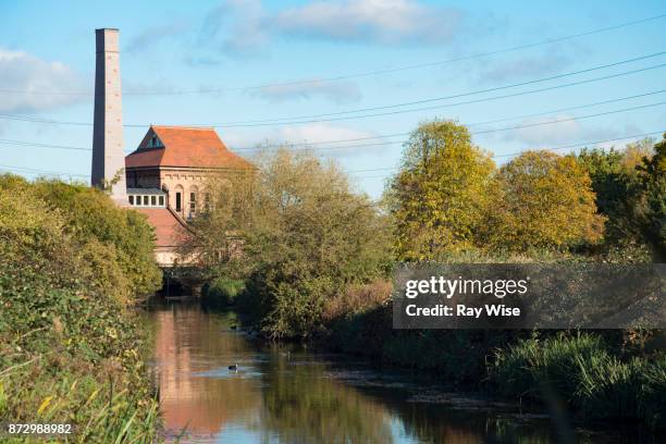 walthamstow wetlands nature reserve - walthamstow stock pictures, royalty-free photos & images