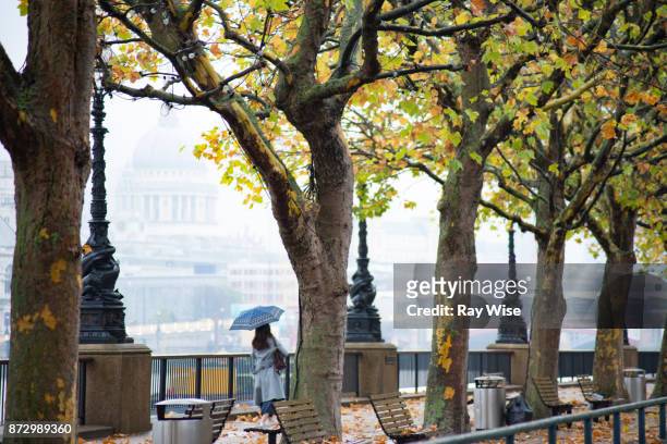 south bank london and woman with umbrella - one embankment stock-fotos und bilder