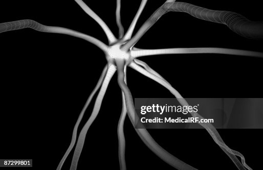 Neuron Neuron