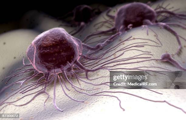 High Resolution Cancer 155 Cancer Cells Background High Res Illustrations - Getty Images