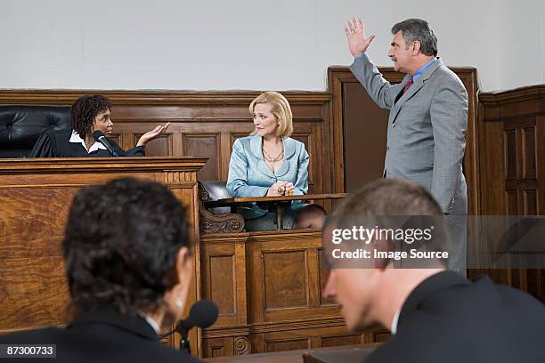 a lawyer and a judge arguing - witness stock pictures, royalty-free photos & images