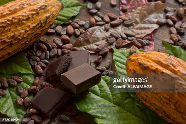 kakao komposition - cacao beans stock-fotos und bilder