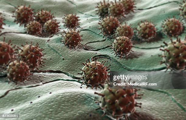 virus - flu virus stock illustrations