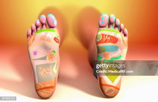 ilustrações de stock, clip art, desenhos animados e ícones de reflexology foot map - reflexology map