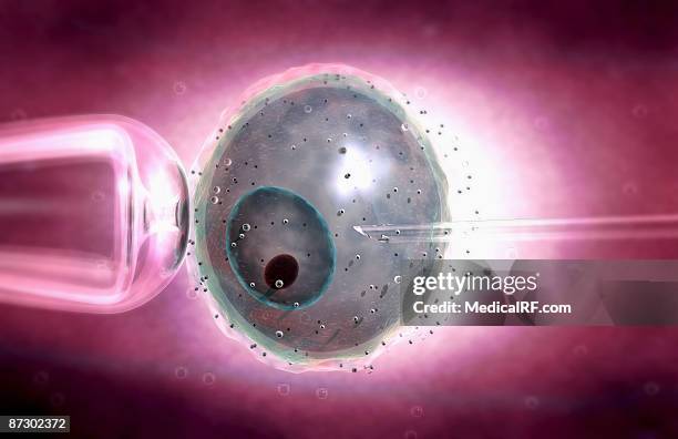 Ivf Computer Background 268 Fertility Background High Res Illustrations - Getty Images