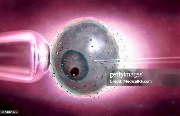 ivf - artificial insemination stock illustrations