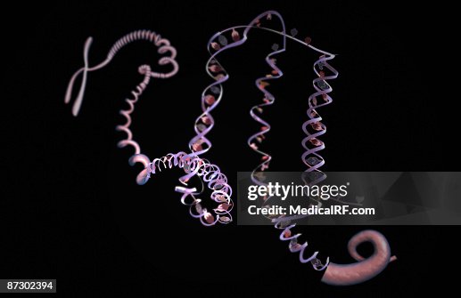 DNA structure DNA structure