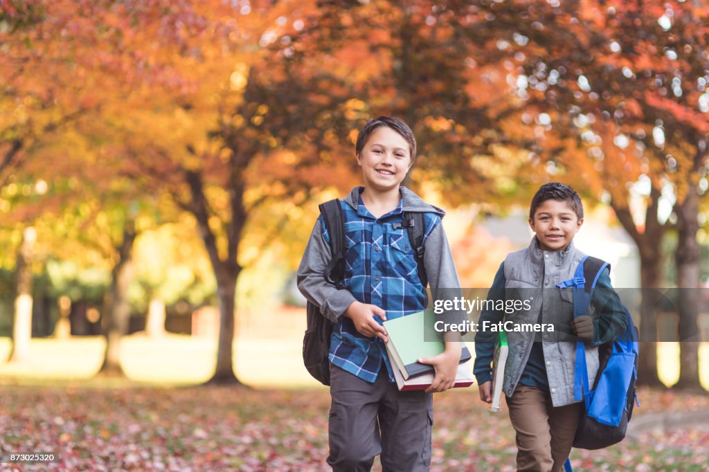 Brothers waking to school
