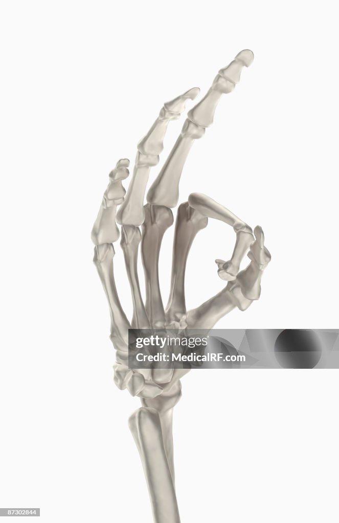 Getty Hand Sign Hand Gesture High-Res Vector Graphic - Getty Images