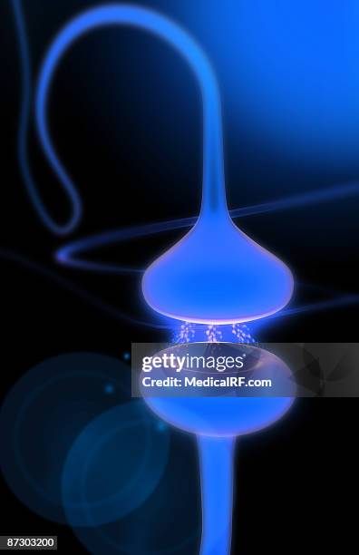 synapse - synapsenspalt stock-grafiken, -clipart, -cartoons und -symbole