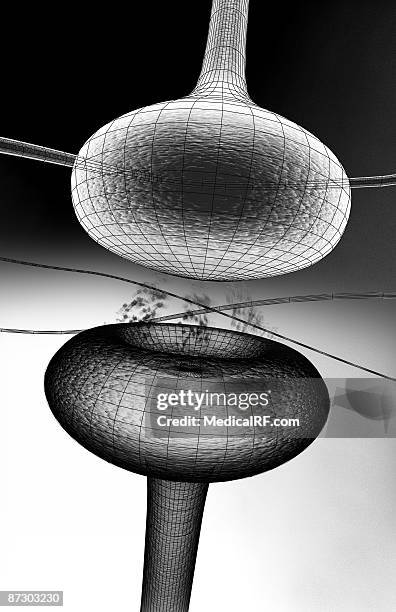 synapse - synapsenspalt stock-grafiken, -clipart, -cartoons und -symbole