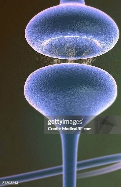 synapse - synapsenspalt stock-grafiken, -clipart, -cartoons und -symbole