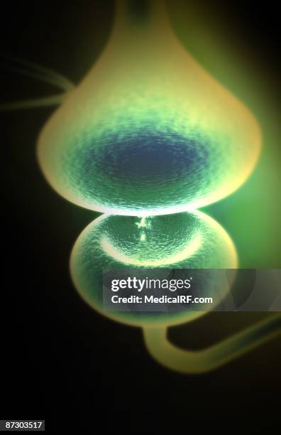 synapse - synaptic cleft stock illustrations