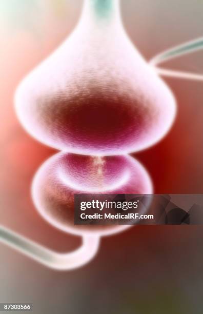 synapse - synapsenspalt stock-grafiken, -clipart, -cartoons und -symbole