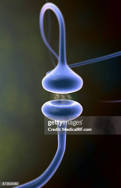 synapse - synapsenspalt stock-grafiken, -clipart, -cartoons und -symbole