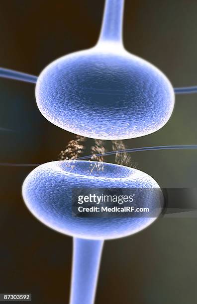 synapse - synaptic cleft stock illustrations