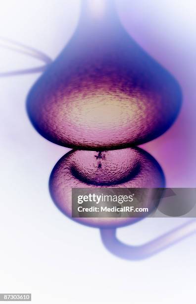 synapse - synapsenspalt stock-grafiken, -clipart, -cartoons und -symbole