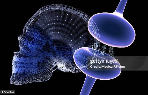 synapse - synapsenspalt stock-grafiken, -clipart, -cartoons und -symbole