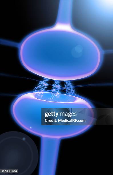 synapse - synapsenspalt stock-grafiken, -clipart, -cartoons und -symbole