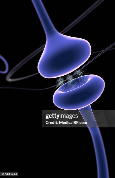 synapse - synapsenspalt stock-grafiken, -clipart, -cartoons und -symbole