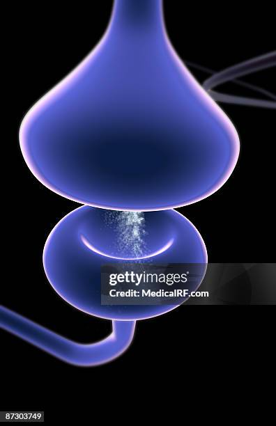 synapse - synaptic cleft stock illustrations