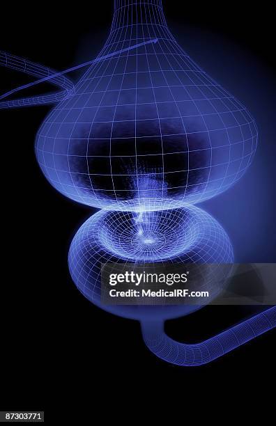 synapse - synaptic cleft stock illustrations