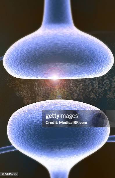 synapse - synapsenspalt stock-grafiken, -clipart, -cartoons und -symbole