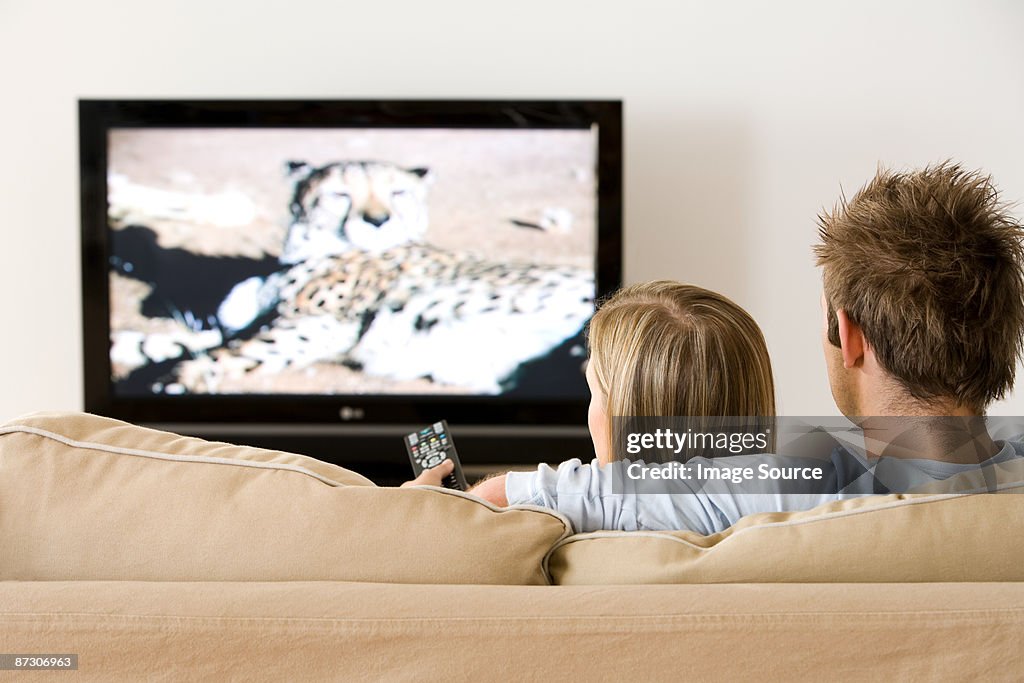 Rear view of a couple watching tv