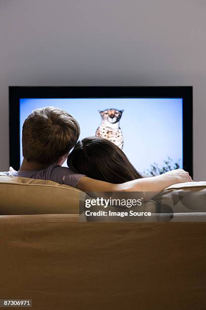 rear view of a couple watching tv - vertical tv stock pictures, royalty-free photos & images