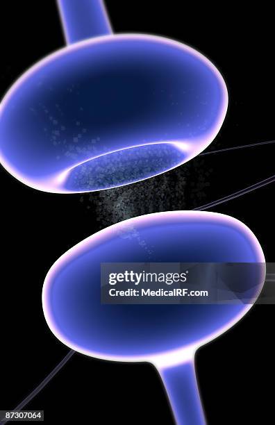 synapse - synaptic cleft stock illustrations