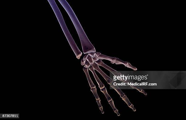 the bones of the hand - lunares stock illustrations