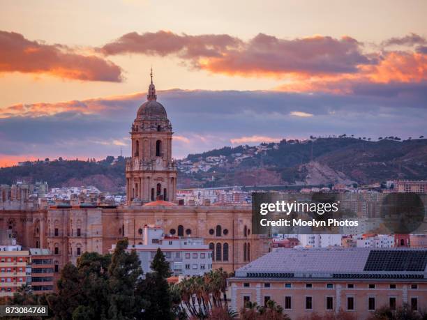 spanish cities -malaga cathedral - malaga fotografías e imágenes de stock