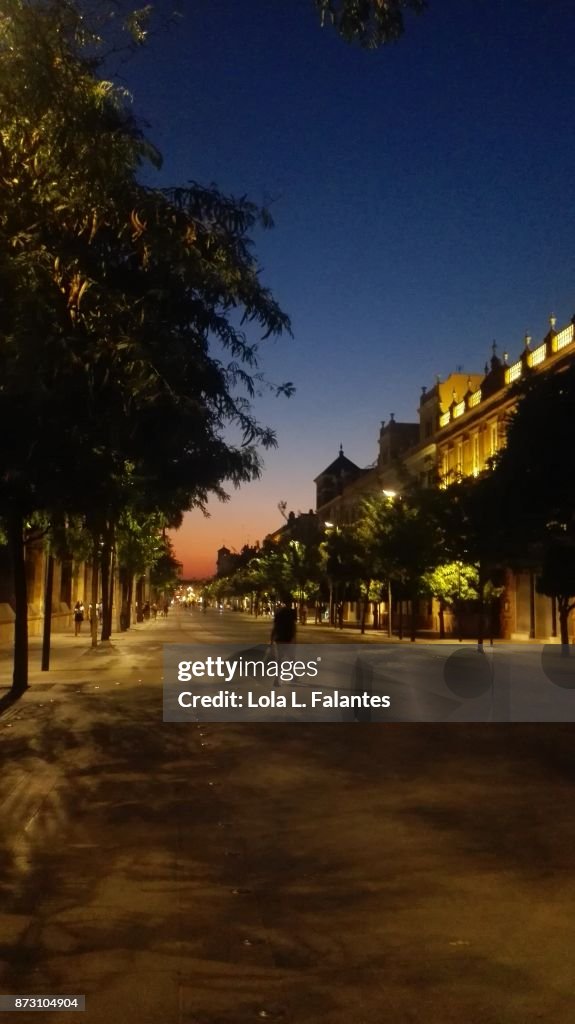 Summer sunset in Seville. Cityscape