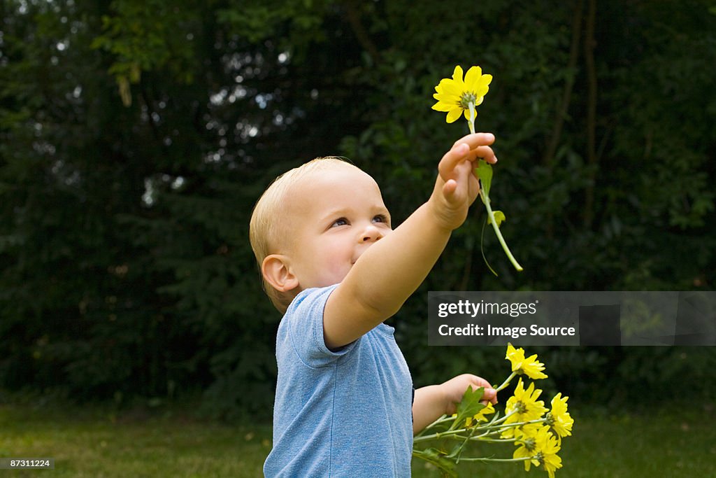 A baby boy holding flowers