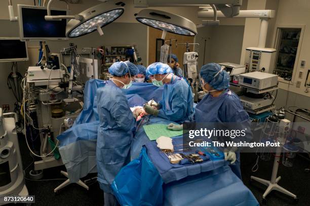 593 Gender Reassignment Surgery Stock Photos, High-Res Pictures, and ...