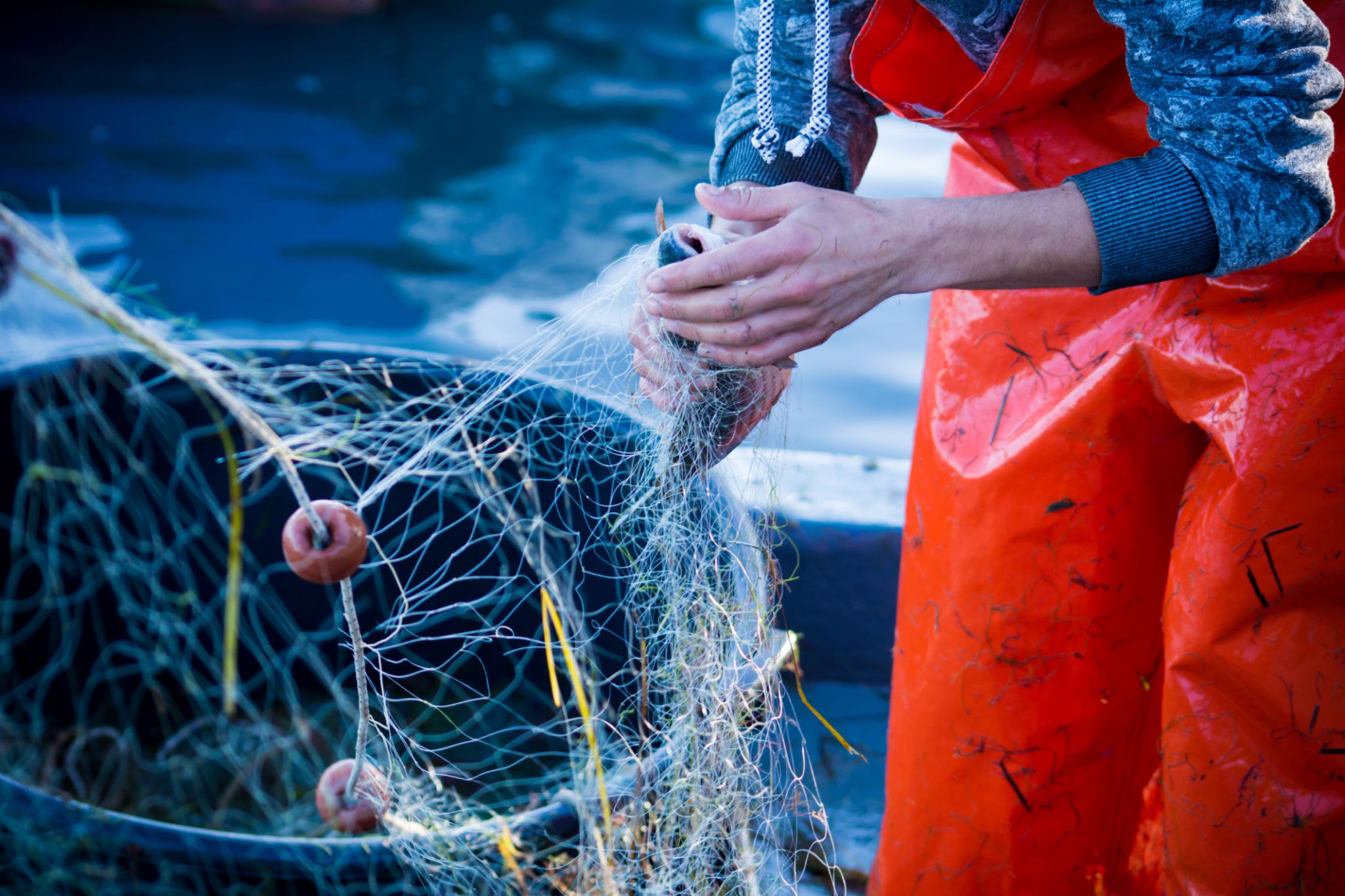 sustainable fishing