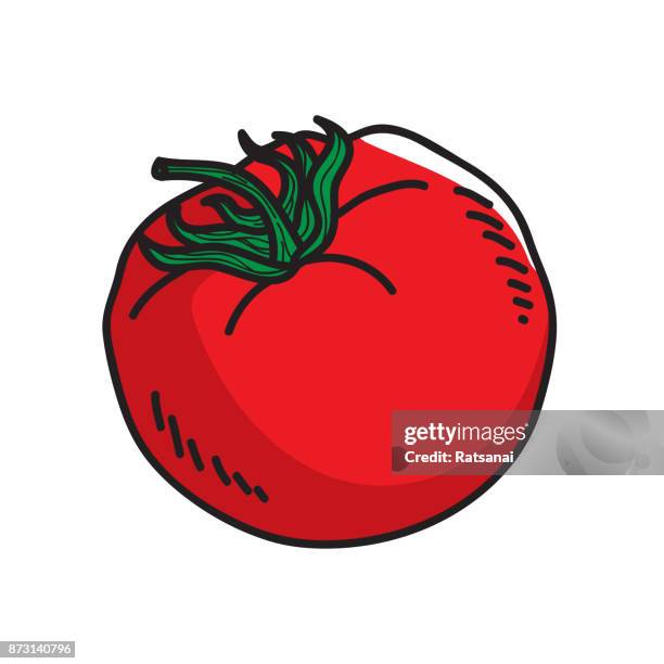 tomato - tomatoes stock illustrations