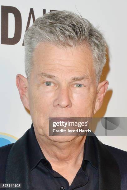 Producer David Foster arrives at 'Evening With WildAid' at the Beverly Wilshire Four Seasons Hotel on November 11, 2017 in Beverly Hills, California.