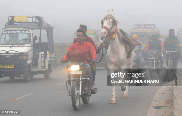 Indian commuters lead a horse on a road as they make their way through heavy smog in Amritsar on November 12, 2017. Large swathes of north India and...