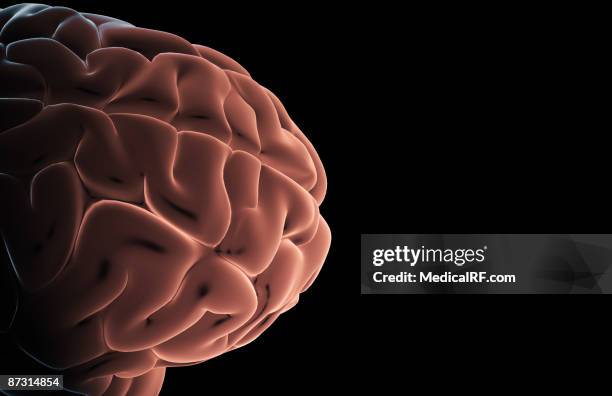 152 Frontal Elevation Stock Photos High Res Pictures And Images 152-frontal-elevation-stock-photos-high-res-pictures-and-images