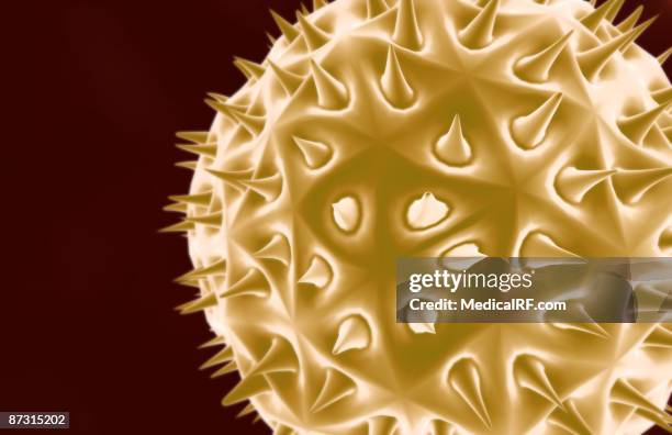 pollen - pollen background stock illustrations